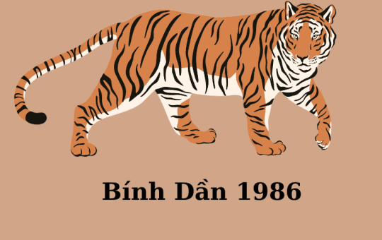 1986 mệnh gì